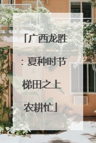 广西龙胜：夏种时节 梯田之上农耕忙