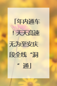 年内通车！天天高速无为至安庆段全线“洞”通