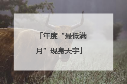 年度“最低满月”现身天宇