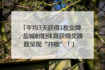 平均3天获得1枚金牌，盐城射阳体育获得奖牌数呈现“井喷”！