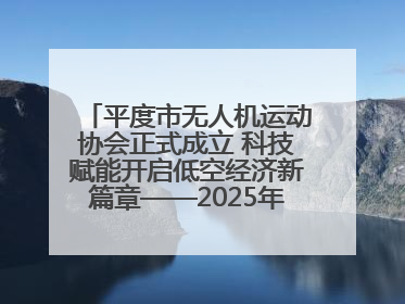 平度市无人机运动协会正式成立 科技赋能开启低空经济新篇章——2025年首届会员大会暨无人机应用发展论坛成功举办