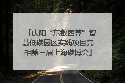 庆阳“东数西算”智慧低碳园区实践项目亮相第三届上海碳博会