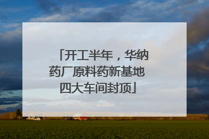 开工半年，华纳药厂原料药新基地四大车间封顶