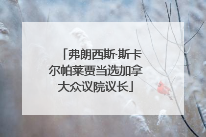 弗朗西斯·斯卡尔帕莱贾当选加拿大众议院议长