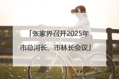 张家界召开2025年市总河长、市林长会议