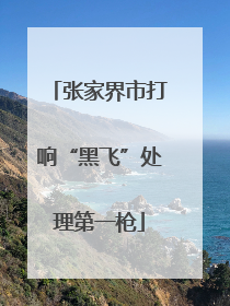 张家界市打响“黑飞”处理第一枪