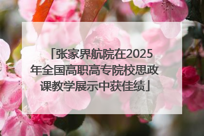 张家界航院在2025年全国高职高专院校思政课教学展示中获佳绩