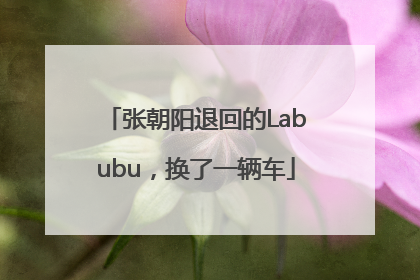 张朝阳退回的Labubu，换了一辆车