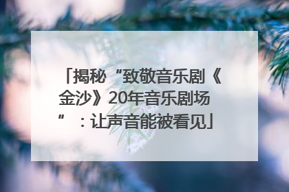 揭秘“致敬音乐剧《金沙》20年音乐剧场”：让声音能被看见