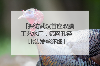 探访武汉首座双膜工艺水厂，筛网孔径比头发丝还细