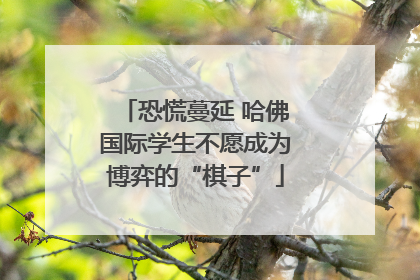 恐慌蔓延 哈佛国际学生不愿成为博弈的“棋子”