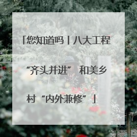 您知道吗丨八大工程“齐头并进” 和美乡村“内外兼修”