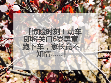 惊险时刻！动车即将关门6岁男童跑下车，家长竟不知情……