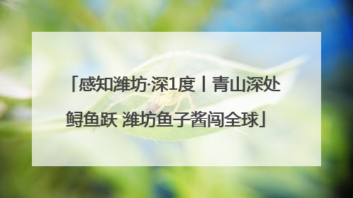 感知潍坊·深1度丨青山深处鲟鱼跃 潍坊鱼子酱闯全球