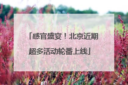 感官盛宴！北京近期超多活动轮番上线