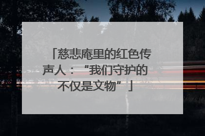 慈悲庵里的红色传声人：“我们守护的不仅是文物”