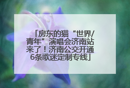 房东的猫“世界/青年”演唱会济南站来了！济南公交开通6条歌迷定制专线
