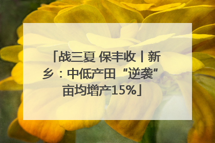 战三夏 保丰收丨新乡：中低产田“逆袭” 亩均增产15%