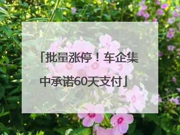 批量涨停！车企集中承诺60天支付