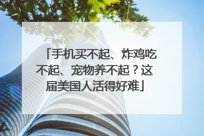 手机买不起、炸鸡吃不起、宠物养不起？这届美国人活得好难
