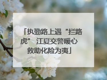 执勤路上遇“拦路虎” 江夏交警暖心救助化险为夷