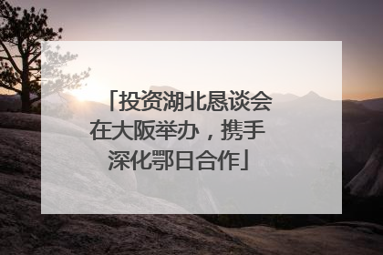 投资湖北恳谈会在大阪举办，携手深化鄂日合作