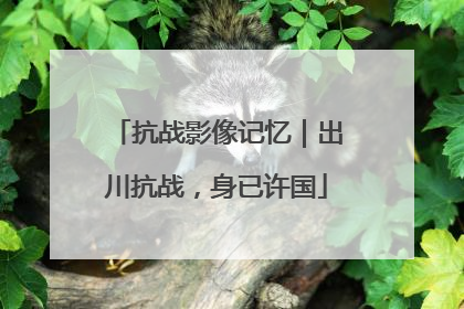 抗战影像记忆｜出川抗战，身已许国
