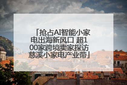 抢占AI智能小家电出海新风口 超100家跨境卖家探访慈溪小家电产业带