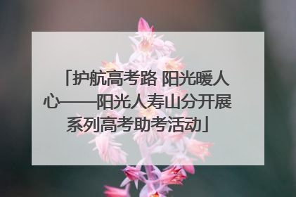 护航高考路 阳光暖人心——阳光人寿山分开展系列高考助考活动
