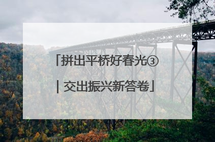 拼出平桥好春光③｜交出振兴新答卷