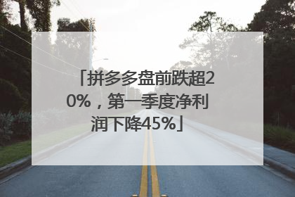 拼多多盘前跌超20%，第一季度净利润下降45%
