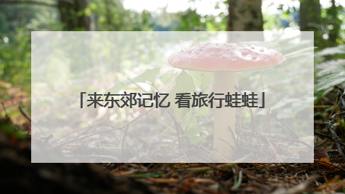 来东郊记忆 看旅行蛙蛙