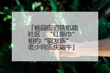 杨园街道铁机路社区：“红领巾”相约“银发族” 老少同乐庆端午