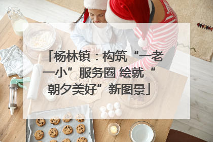 杨林镇：构筑“一老一小”服务圈 绘就“朝夕美好”新图景