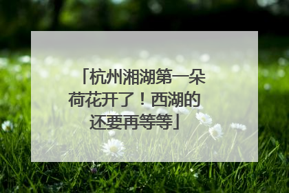 杭州湘湖第一朵荷花开了！西湖的还要再等等