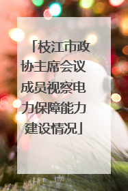 枝江市政协主席会议成员视察电力保障能力建设情况