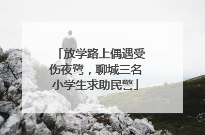 放学路上偶遇受伤夜鹭，聊城三名小学生求助民警