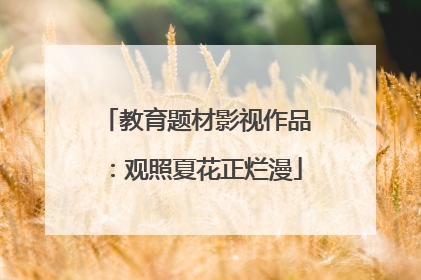 教育题材影视作品：观照夏花正烂漫