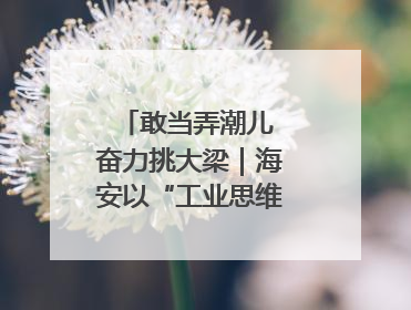 敢当弄潮儿 奋力挑大梁｜海安以“工业思维”拓宽共富路