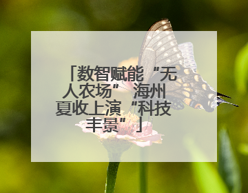 数智赋能“无人农场” 海州夏收上演“科技丰景”