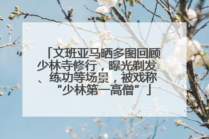 文班亚马晒多图回顾少林寺修行，曝光剃发、练功等场景，被戏称“少林第一高僧”