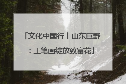 文化中国行丨山东巨野：工笔画绽放致富花