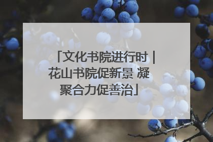 文化书院进行时｜花山书院促新景 凝聚合力促善治