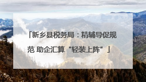 新乡县税务局：精辅导促规范 助企汇算“轻装上阵”