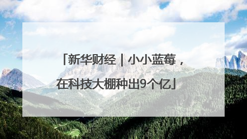新华财经｜小小蓝莓，在科技大棚种出9个亿