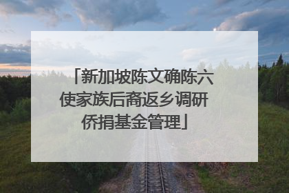 新加坡陈文确陈六使家族后裔返乡调研侨捐基金管理