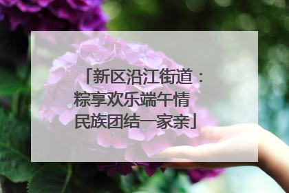 新区沿江街道：粽享欢乐端午情 民族团结一家亲