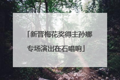 新晋梅花奖得主孙娜专场演出在石唱响