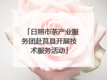 日照市茶产业服务团赴莒县开展技术服务活动