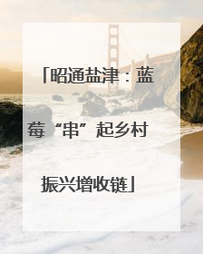 昭通盐津：蓝莓“串”起乡村振兴增收链